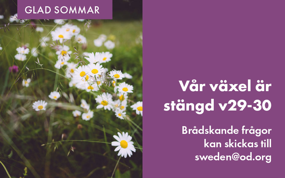 startsida-sommar26